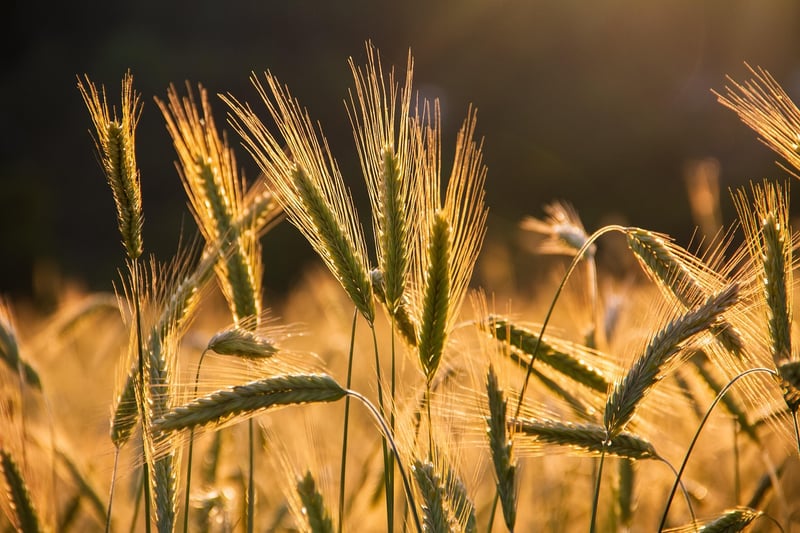 Sustainable harvests