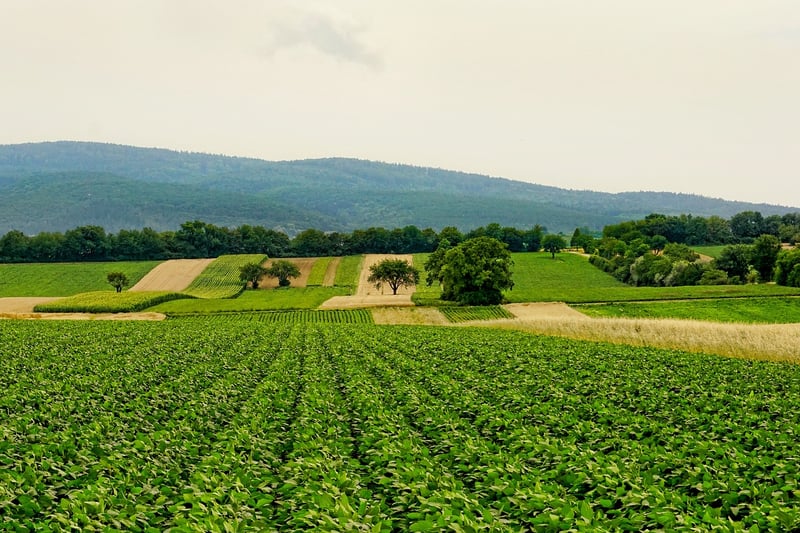Urban agriculture